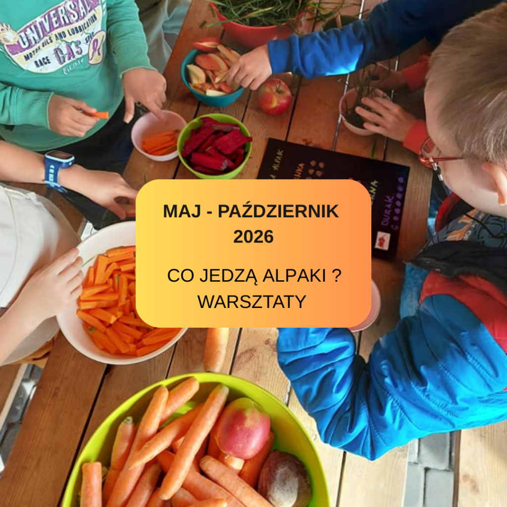 maj pax 2026 (1)
