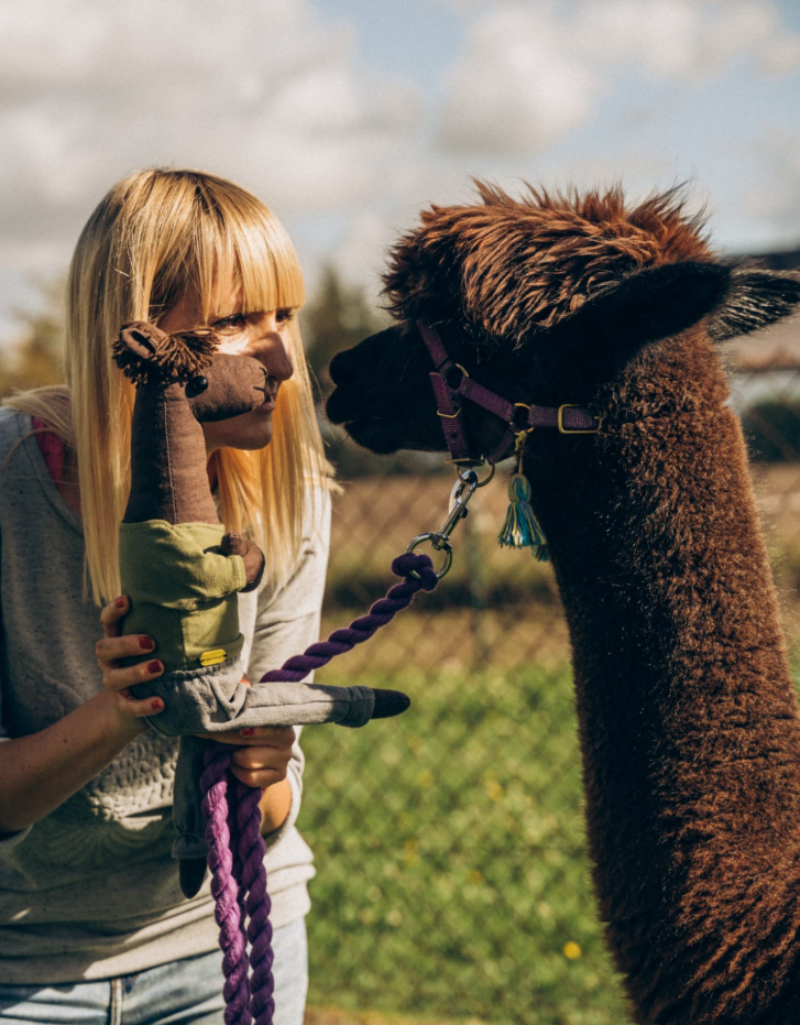 zrzut ekranu 2026 01 08 111326