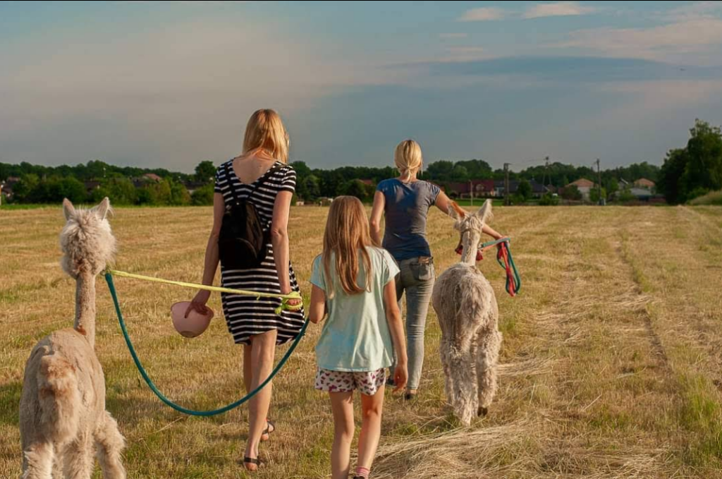 zrzut ekranu 2026 01 27 122335